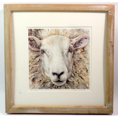 1245 - Jude Lowery - limited edition print of a Sheep, 19 x 19cm