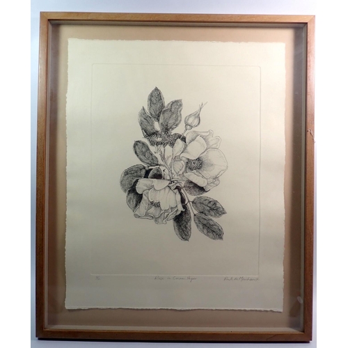 1249 - Ruth de Monchaux - limited edition, etching of a rose 8/12, 34 x 26cm and K Howgate - pen and ink ra... 