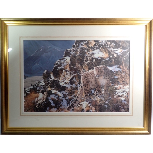 1393 - Simon Combes - limited edition print of a snow leopard 'Mountain Myth' 46 x 68cm