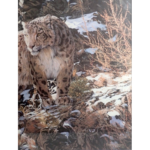 1393 - Simon Combes - limited edition print of a snow leopard 'Mountain Myth' 46 x 68cm