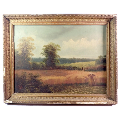 1419 - C Pyle - oil on canvas landscape with cornfield, 36 x 48cm