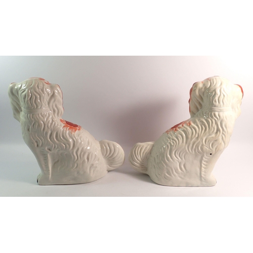 153 - A pair of Victorian Staffordshire dogs, 32cm