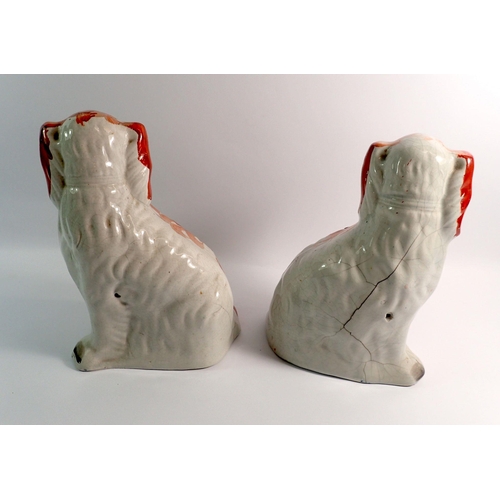 20 - A pair of Victorian Staffordshire dogs, 26cm