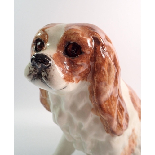 23 - A Winstanley King Charles Cavalier spaniel No 10, 27cm tall