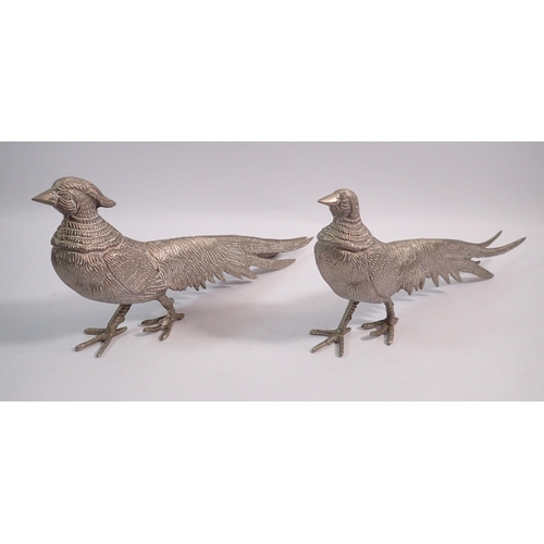 247 - A pair of silver plated pheasants, 29cm