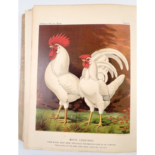 874 - The Illustrated Book of Poultry by Lewis Wright, revised edition 1890, covers detached but present -... 