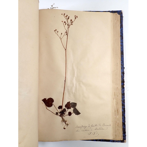 888 - A French Herbarai book of pressed flowers by the Pensionnat des Soeurs de Nevers awarded the Prix de... 