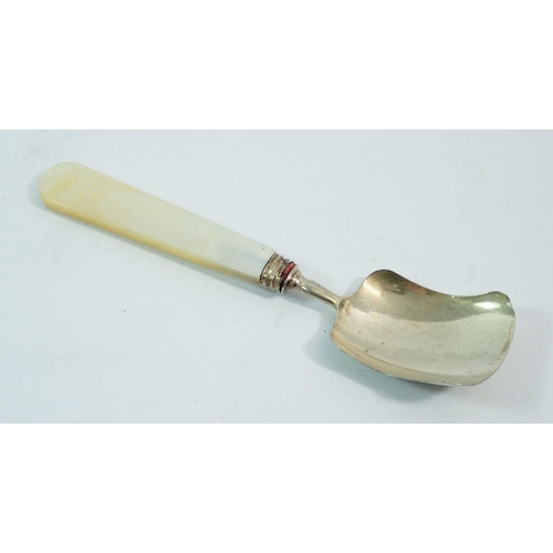 282 - A silver caddy spoon with mother of pearl handle, Birmingham 1832 by George Unite