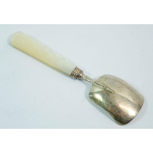 282 - A silver caddy spoon with mother of pearl handle, Birmingham 1832 by George Unite