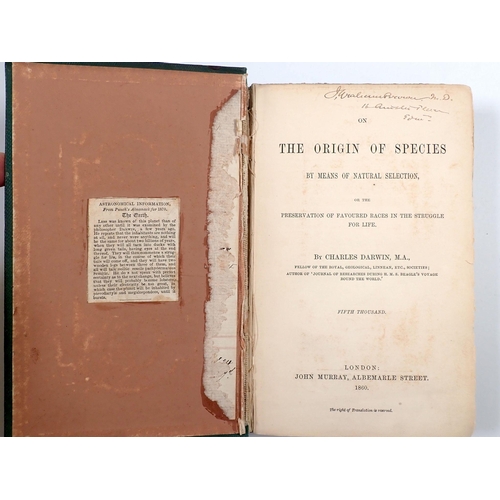 548 - Charles Darwin The Origin of Species 'Fifth Thousand' published by John Murray 1860, lacking pre tit... 