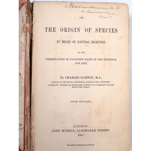 548 - Charles Darwin The Origin of Species 'Fifth Thousand' published by John Murray 1860, lacking pre tit... 