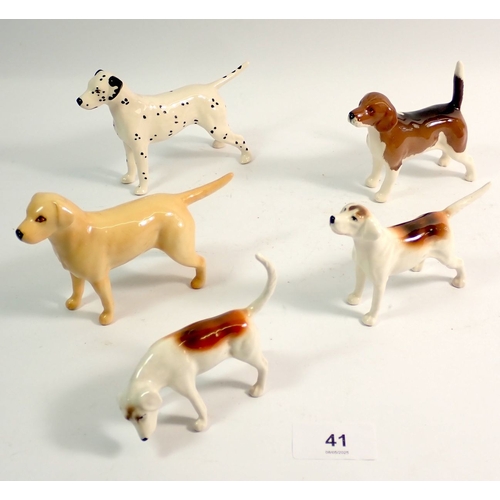 Lot 41        