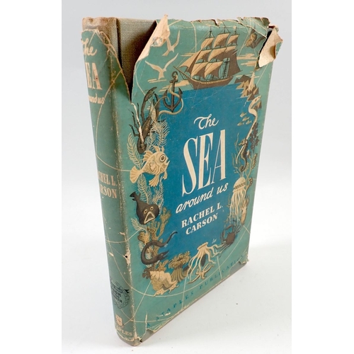 Lot 619       