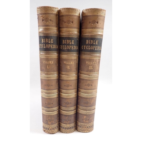 Lot 629       