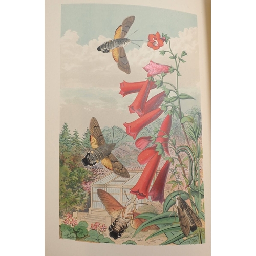666 - Gems of Nature and Art with twenty four colour illustrations