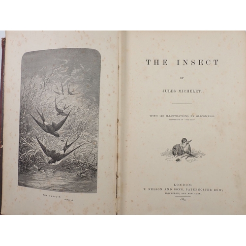 667 - The Insect by Jules Michelet, published 1883 Nelson & Sons, illustrated by Giacomelli