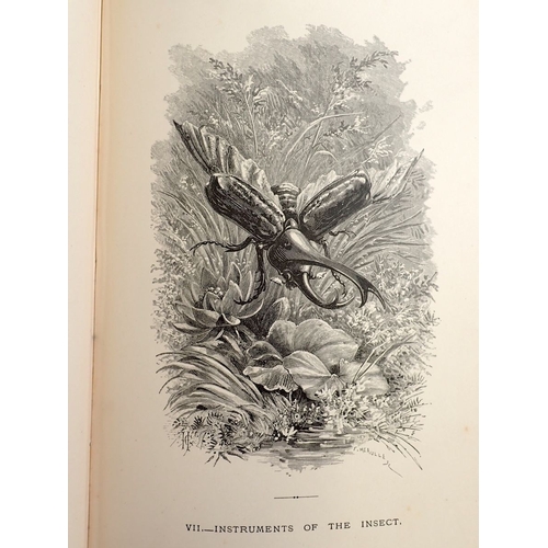 667 - The Insect by Jules Michelet, published 1883 Nelson & Sons, illustrated by Giacomelli