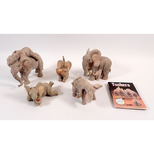 Lot 54        