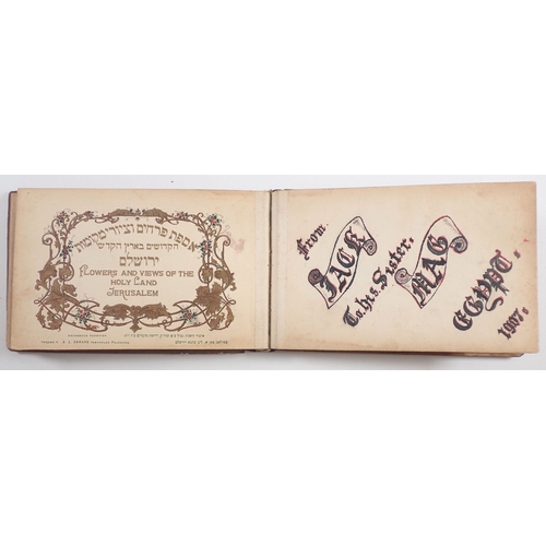 Lot 565       