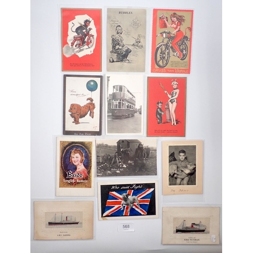Lot 568       