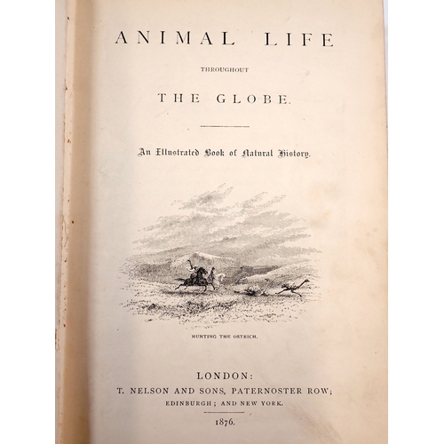 637 - A Book of Discovery by M B Synge together with The Romance of Escapes and Animal Life of The Globe 1... 