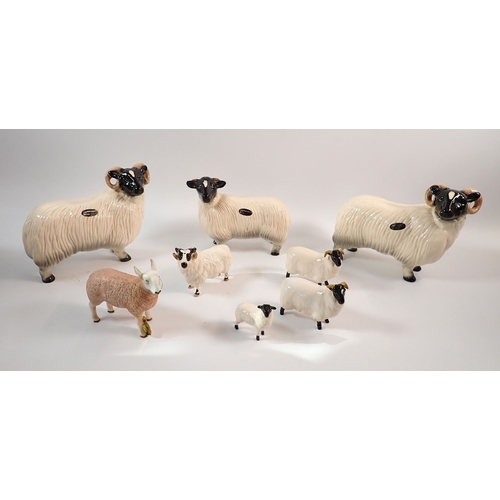 60 - Four Beswick sheep, three Coopercraft sheep and one other 17.5cm tall