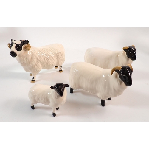 60 - Four Beswick sheep, three Coopercraft sheep and one other 17.5cm tall