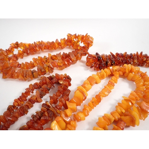 413 - A collection of amber necklaces