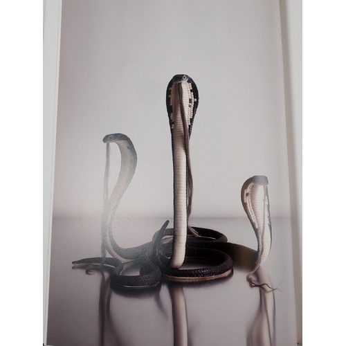 693 - The Islanders an Introduction by Charles Avery published by Koenig Books