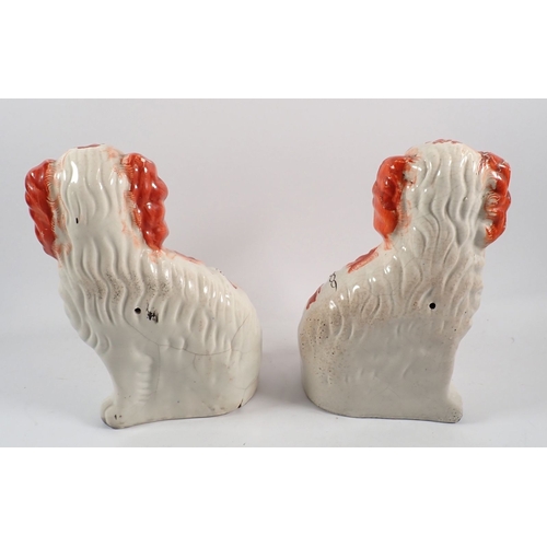 48 - A pair of Victorian Staffordshire dogs 25cm