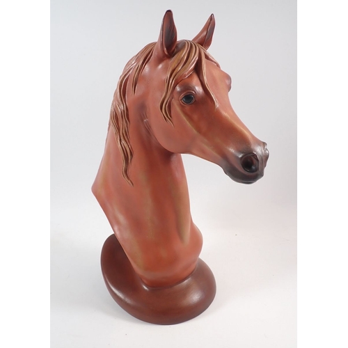 Lot 11        