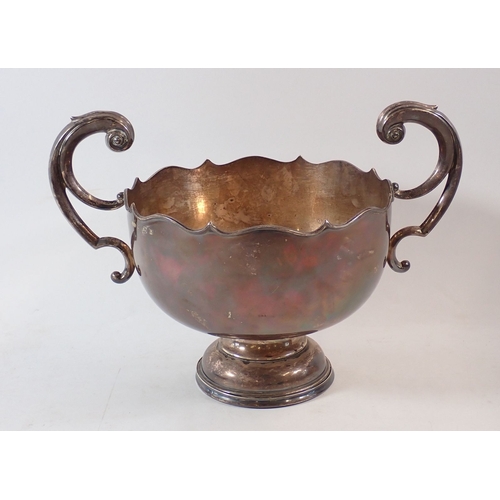 Lot 291       