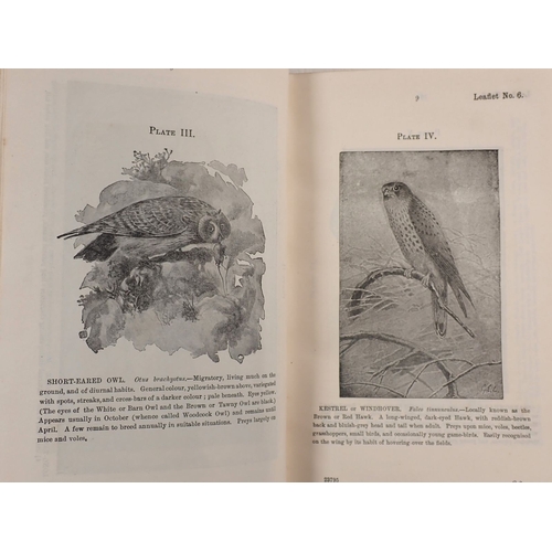 458 - Board of Agriculture and Fisheries leaflets 1-100 printed for His Majesty's Stationery Office Darlin... 