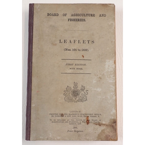 Lot 459       