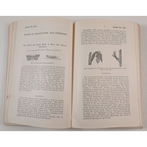 459 - First Edition Board of Agriculture and Fisheries leaflets 101-200 printed for His Majesty's Statione... 