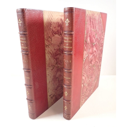 Lot 491       
