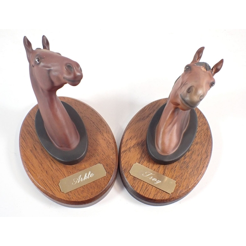 Lot 6         