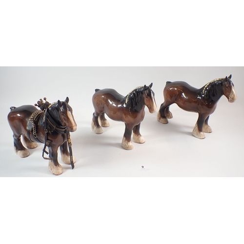 Lot 9         