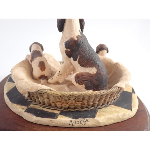 17 - A Border Fine Arts Springer Spaniel and puppies, 205A, base 20cm wide