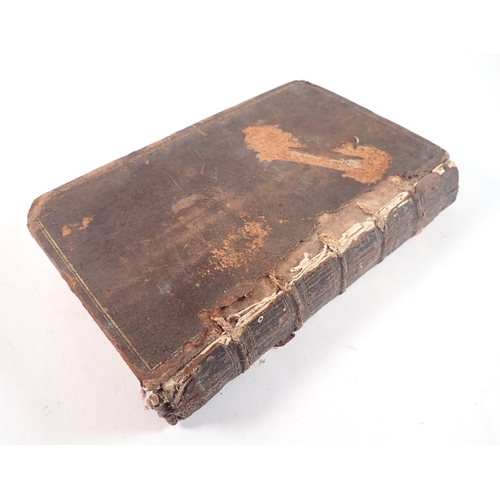 Lot 652       