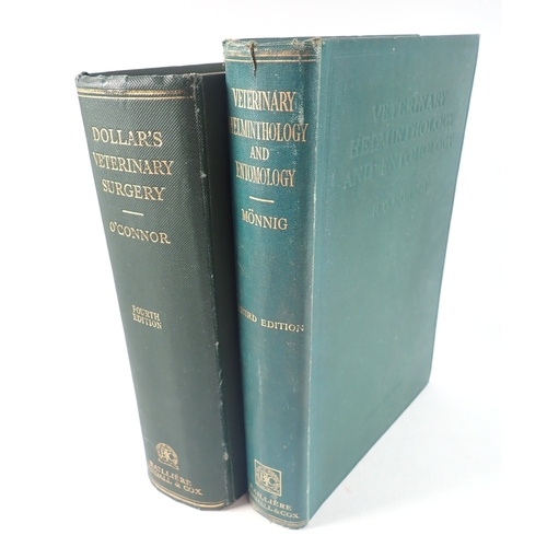 Lot 675       