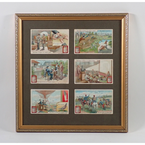 Lot 773       