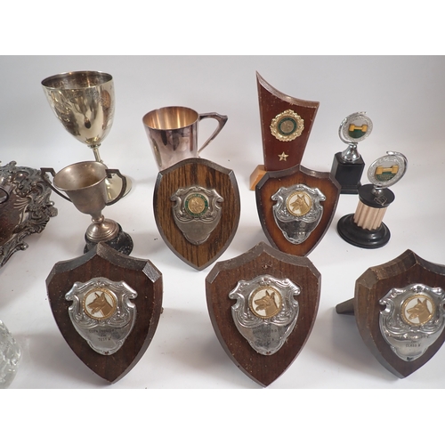 241 - A box of silver plated items including tray, District Dog trophies etc.