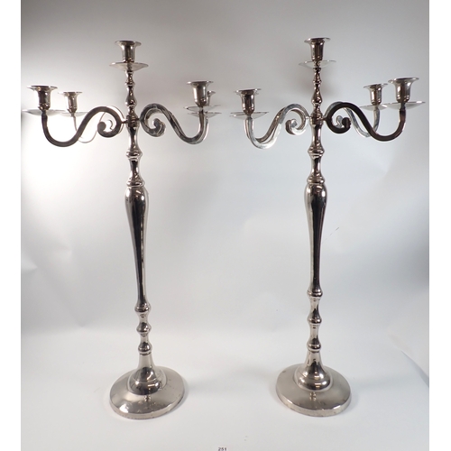 Lot 251       