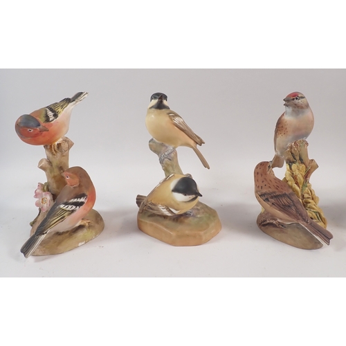 47 - A group of six Royal Worcester bird groups including Linnets, Coal Tit, Chaffinches, Nuthatch, 6.5cm... 