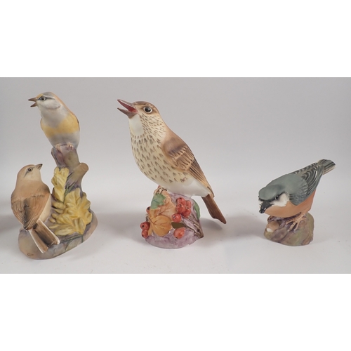 47 - A group of six Royal Worcester bird groups including Linnets, Coal Tit, Chaffinches, Nuthatch, 6.5cm... 