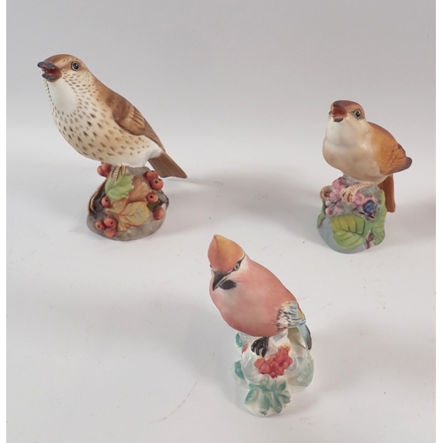 49 - A group of nine Royal Worcester birds including Goldcrest, Lapwing, Nightingale etc.