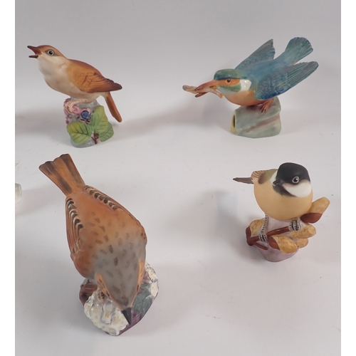 49 - A group of nine Royal Worcester birds including Goldcrest, Lapwing, Nightingale etc.