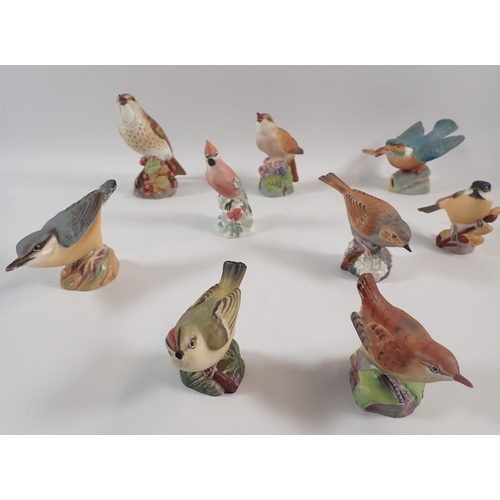 49 - A group of nine Royal Worcester birds including Goldcrest, Lapwing, Nightingale etc.