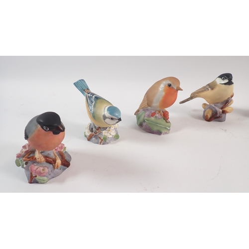 50 - A collection of ten Royal Worcester birds including Robin, Bullfinch, Nuthatch etc.